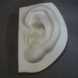A plaster cast mould of the ear of Michelangelo's David taken from the Brucciani Collection at the