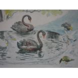 Russell Reeve, Swans and Ducks, lithograph, signed in pencil to lower right, 32 x 46cm