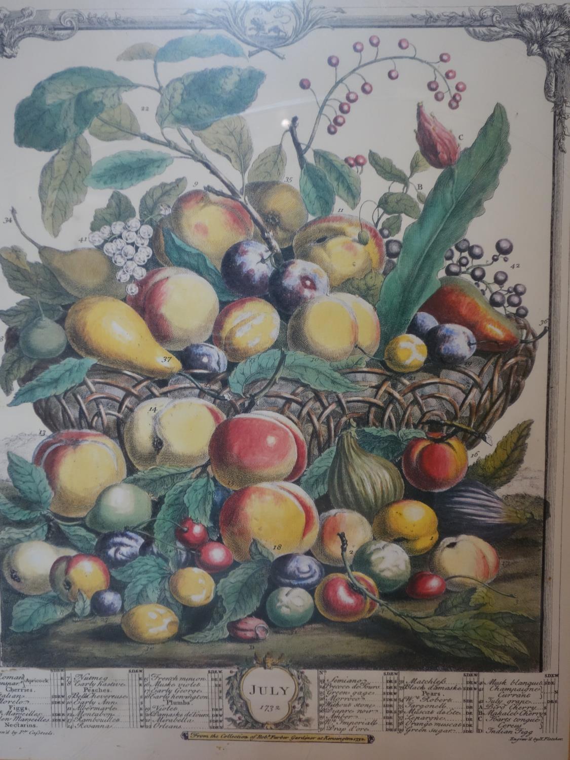 A set of four 18th century style prints of fruit, 38 x 30cm, together with a small similar pair, - Image 6 of 6