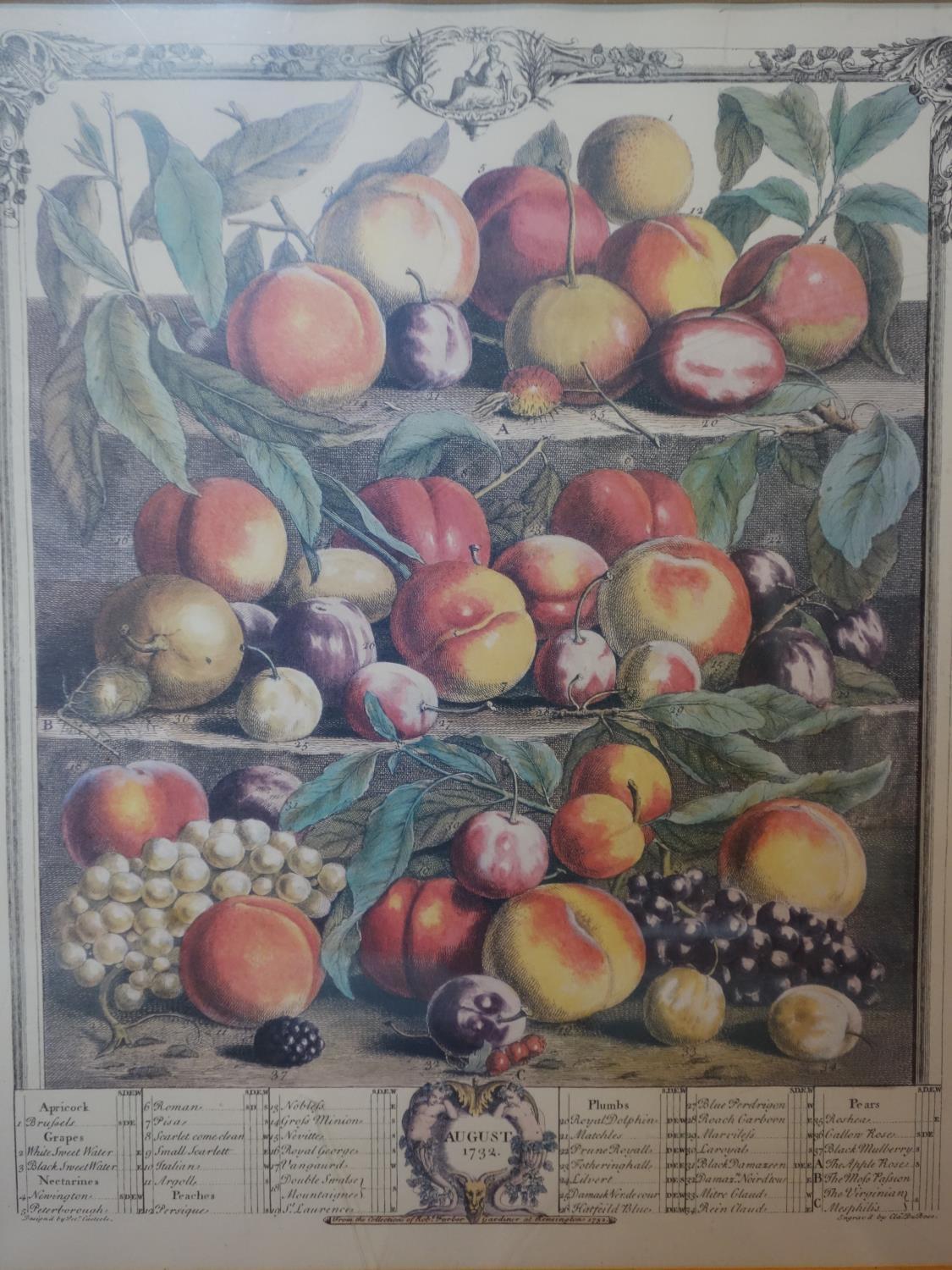 A set of four 18th century style prints of fruit, 38 x 30cm, together with a small similar pair, - Image 5 of 6