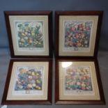 A set of four 18th century style prints of fruit, 38 x 30cm, together with a small similar pair,