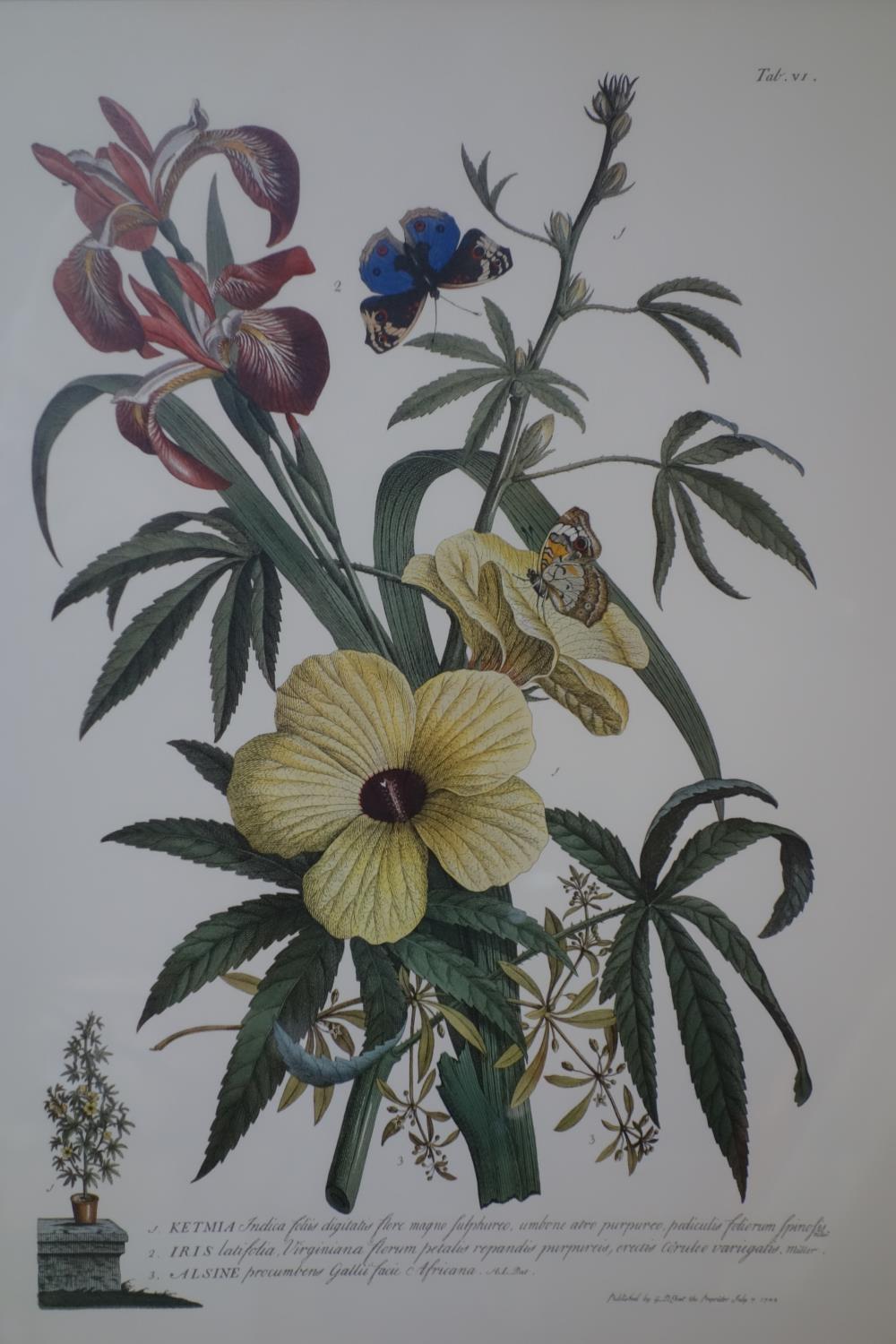 A pair of 18th century style flower prints, with Coln gallery label to verso, 46 x 33cm - Image 3 of 3