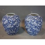 A pair of Chinese blue and white vases, decorated with flowers, H.20cm