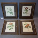 A set of 4 prints of flowers, 35 x 25cm