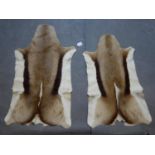 A pair of animal pelts L.100cm