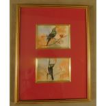 A pair of watercolours, birds on branches, framed and glazed as one, signed. H.43 W.33cm