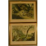 A pair of framed and glazed prints, hunting dogs. H.43 W.54cm