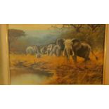 A framed oil on canvas, Elephants at a watering hole, signed Joe Nooyer. H.76 W.106cm