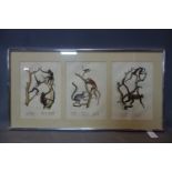 19th century German framed triptych hand-coloured prints of animals, to include Gibbons and