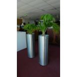 Two house palms in cylindrical aluminium containers H.92 cm - (the containers)