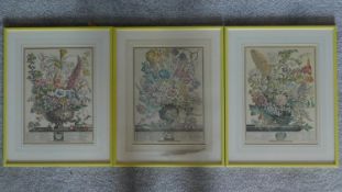 A set of three framed and glazed prints. 57x46cm