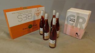 Six bottles of BES - Can Rich Syrah 2011 and eleven bottles of Cata Rosa Navarra 2012. (17)