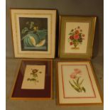 Four large framed and glazed prints of horticultural interest. H.77 W.65cm (largest)