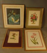 Four large framed and glazed prints of horticultural interest. H.77 W.65cm (largest)