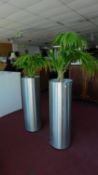 Two house palms in cylindrical aluminium containers H.92 cm - (the containers)