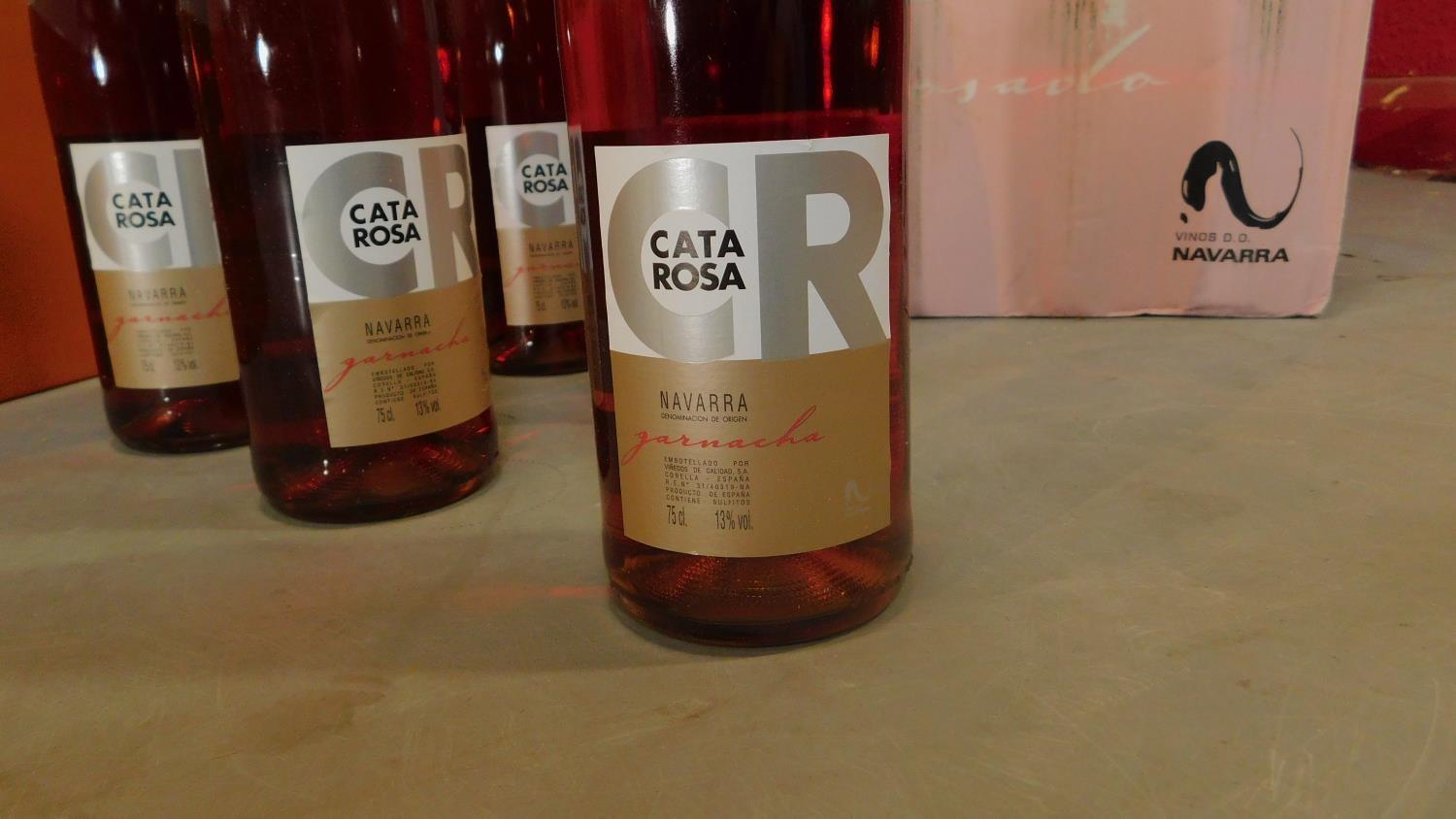 Six bottles of BES - Can Rich Syrah 2011 and eleven bottles of Cata Rosa Navarra 2012. (17) - Image 2 of 2