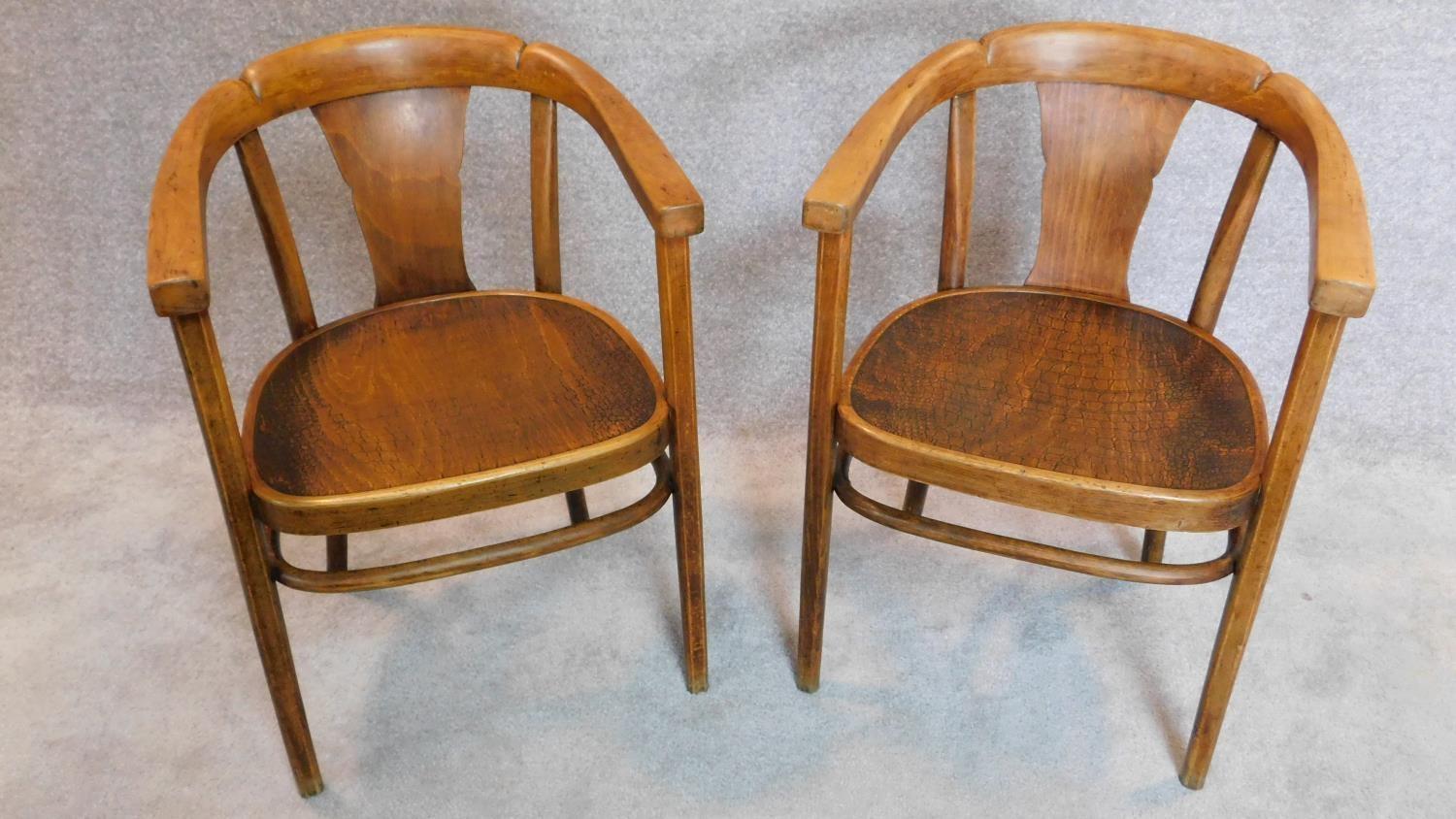 A pair of early 20th century bentwood armchairs by Thonet, label and stamp to bottom. H.77cm