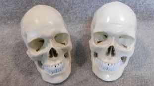 A pair of contemporary moulded skulls with removable top sections and articulated jaws. 17x21cm