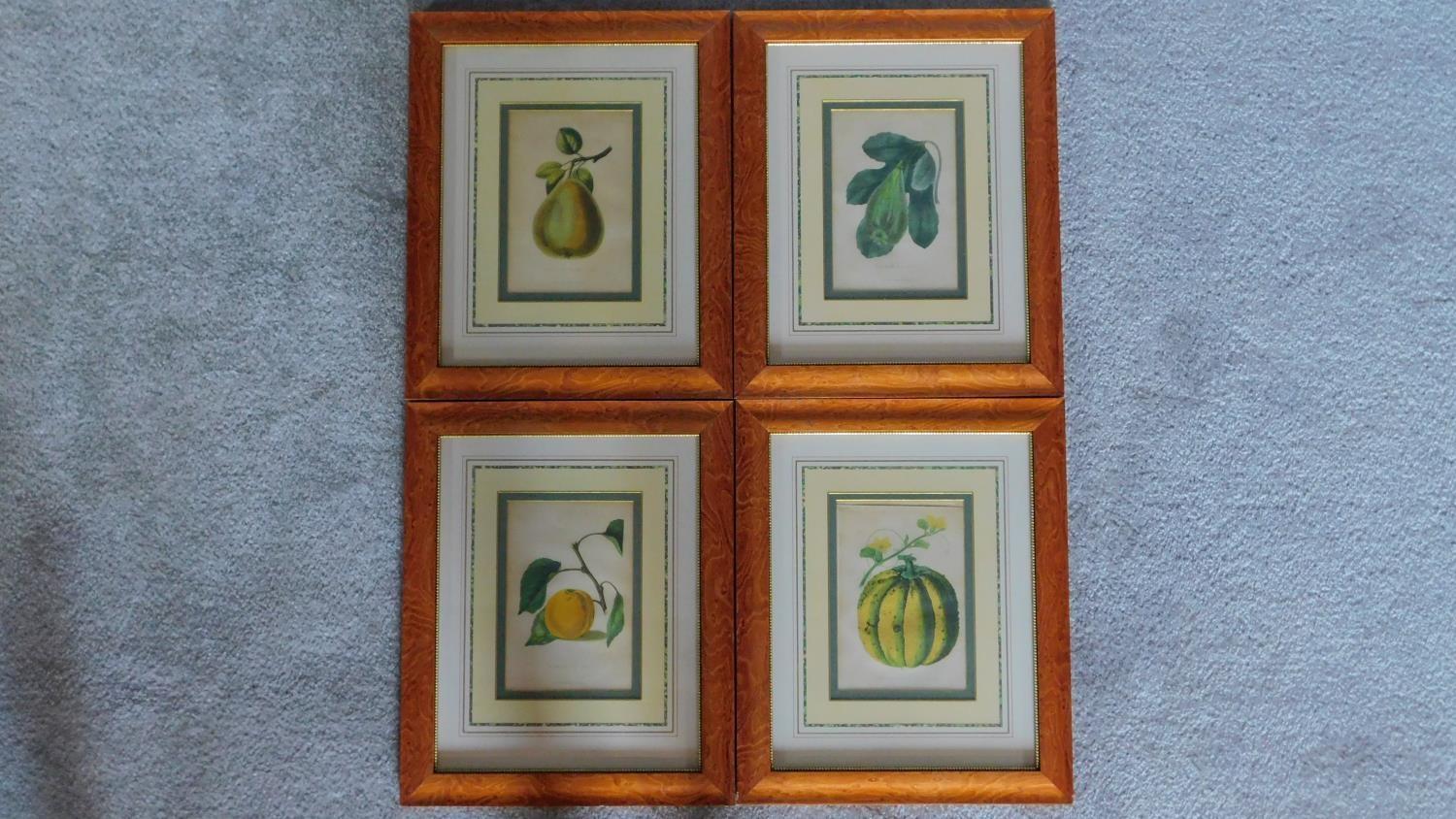 A set of four framed and glazed prints of fruit. 49x40cm