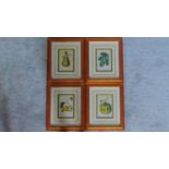 A set of four framed and glazed prints of fruit. 49x40cm