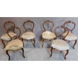 A set of six Victorian carved walnut balloon back dining chairs. H.89cm (one splat broken but