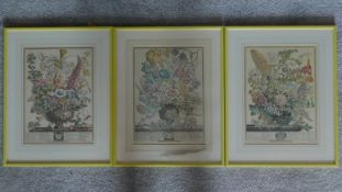 A set of three framed and glazed prints, floral. 57x46cm