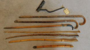 A miscellaneous collection of eight walking canes and sticks. H.95cm (tallest)