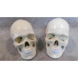 WITHDRAWN - A pair of contemporary moulded skulls with removable top sections and articulated jaws.