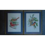 A large pair of framed and glazed watercolours, finches, signed. 62x47cm