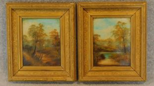 A pair of 19th century gilt framed oils on card, landscapes, unsigned. 35x31cm