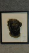 A framed and moulded death mask, inscription verso, By Eric Hewitson. 48x43cm