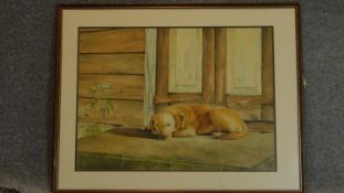 A large framed and glazed watercolour of a labrador, signed. H.73 W.93cm