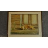 A large framed and glazed watercolour of a labrador, signed. H.73 W.93cm