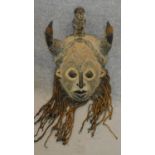 A carved hardwood horned fertility mask. 37x31cm