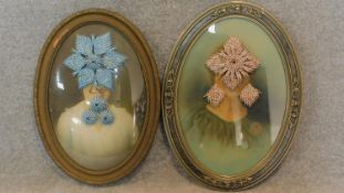 Two late Victorian oval framed and glazed prints (one with a convex plate), each with contemporary