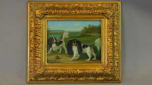 A 19th century oil on canvas laid on board of two spaniels in decorative gilt frame. 43x38cm