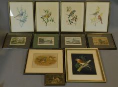 A miscellaneous collection of eleven framed and glazed prints of avian and architectural interest.