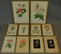 A miscellaneous collection of framed and glazed prints. Montgolfier balloons and ornithological