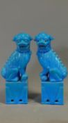 A pair of Chinese dogs of Fo in turquoise glaze. H.46cm