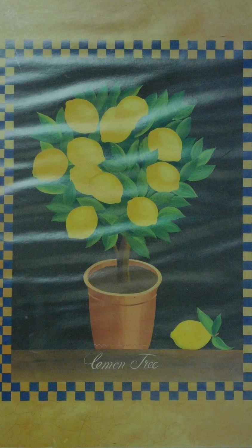 Two framed and glazed prints, sunflower and lemons. 82x67 (largest) - Image 2 of 7