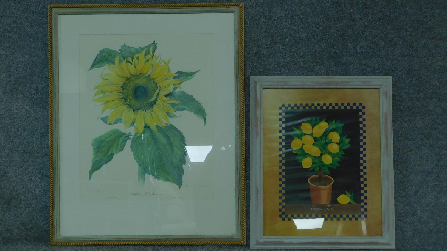 Two framed and glazed prints, sunflower and lemons. 82x67 (largest)