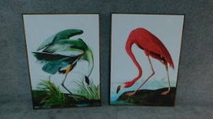 A pair of large reproductions of a crane and a flamingo in the manner of John James Audubon. H.114cm