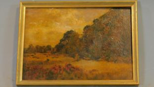 A 19th century oil on panel, country landscape, unsigned. 28x38cm