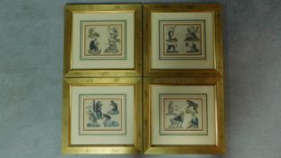 Four framed hand coloured lithographs of zoological studies of monkey species. 43x45cm
