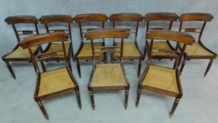 A set of nine Regency rosewood dining chairs with carved bar backs and splats, caned seats on reeded