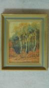 A gilt framed oil on board, birch trees in a woodland setting. 35x29cm
