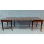 A Georgian mahogany D end dining table with two extra leaves. (missing leaf supports). H.75 W.233