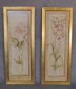 A pair of gilt framed and glazed prints depicting orchids and a peony. 40cm x 1m.