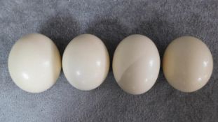 Collection of four blown Ostrich eggs. H.15cm (tallest)