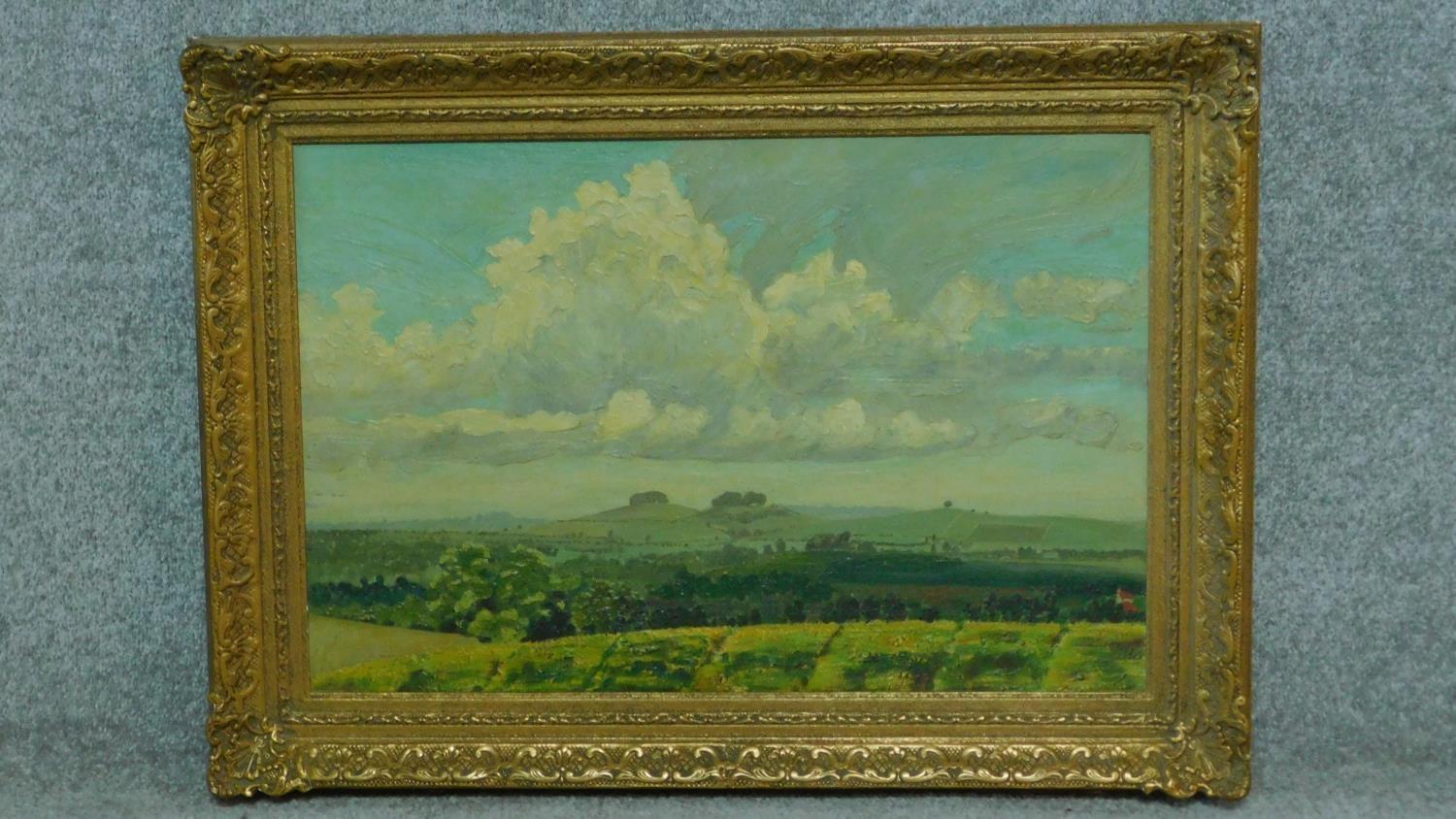 A gilt framed oil on canvas, rolling country landscape, artists label verso. 55x75cm